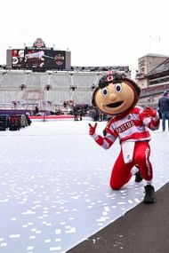 Brutus Buckeye